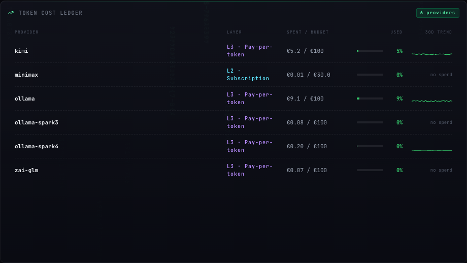 BlackUnicorn AI Management System token cost ledger showing provider layers, spend against budget, and usage trends